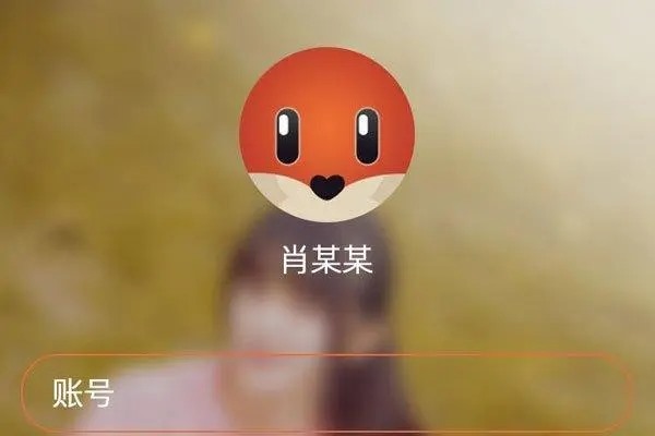 探探号怎么加好友？